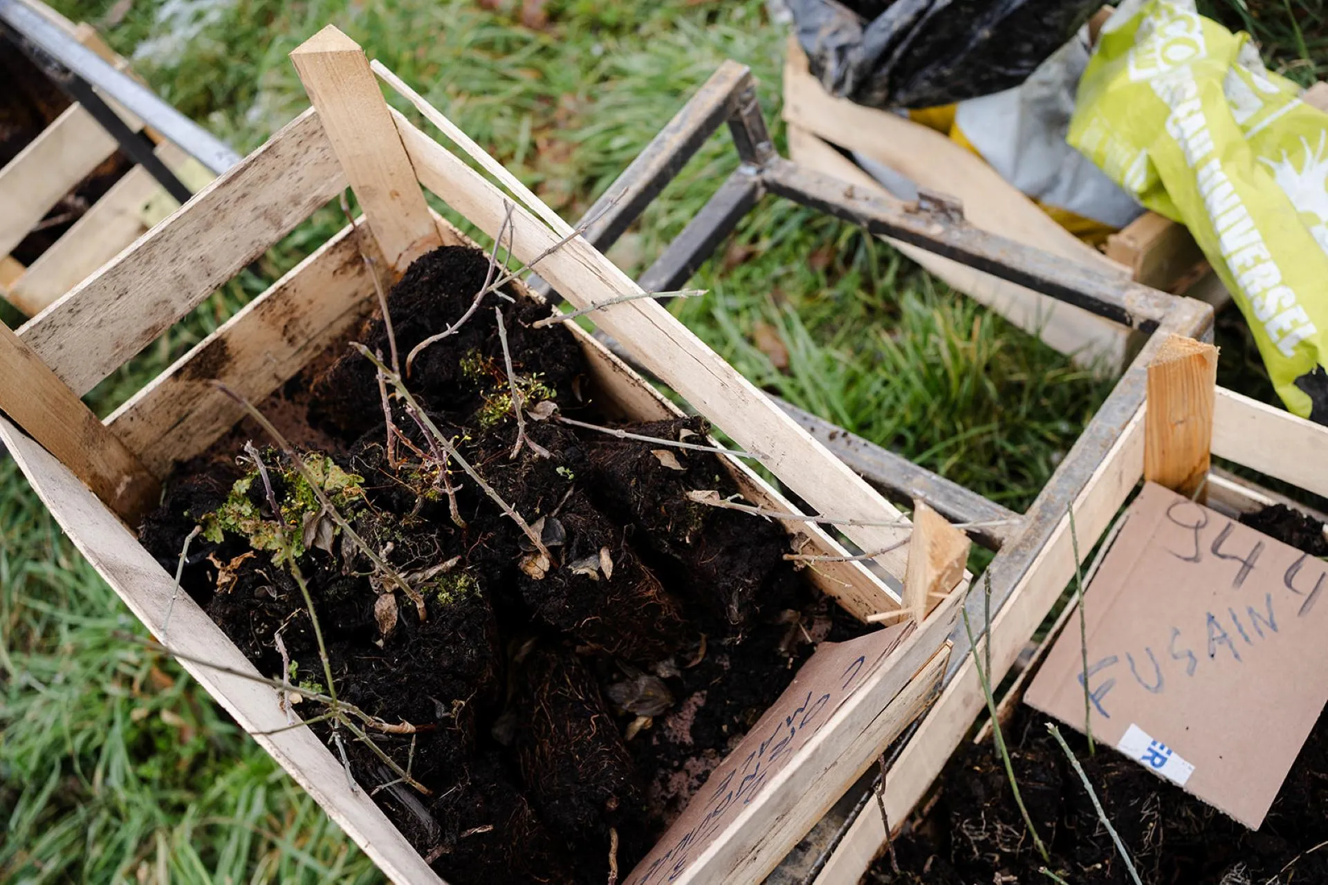 Chantier de plantation de haies champêtres dans les Vals du Dauphiné, Isère