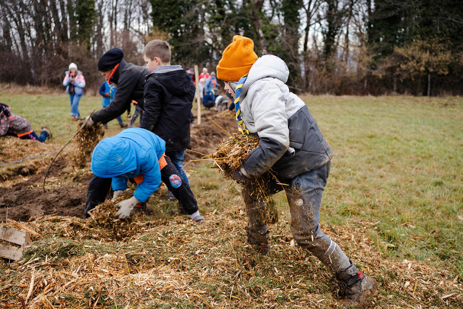 Chantier de plantation 3