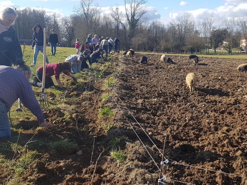 Élevage d'Arcandy - St Clair la Tour