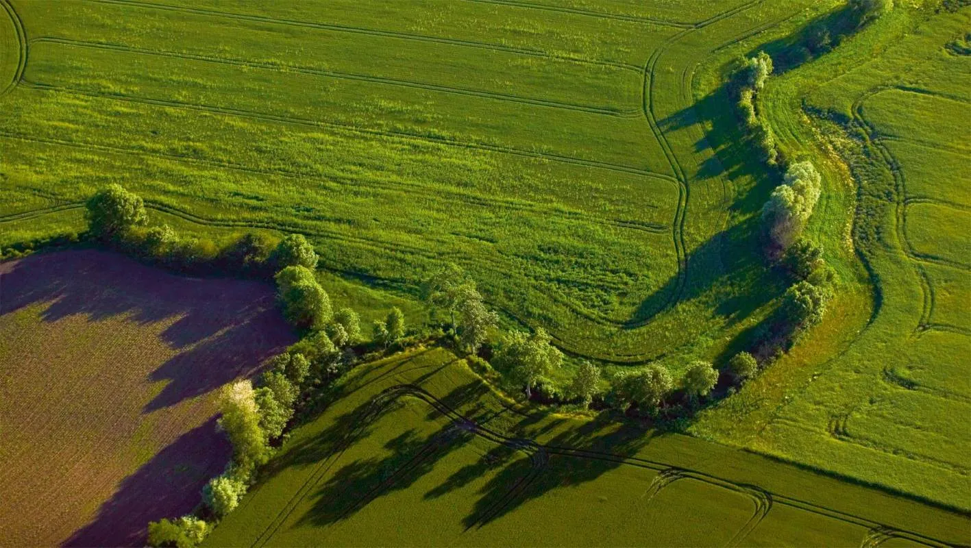 Haie bocagère gardienne de l'eau et de la biodiversité, Vals du Dauphiné